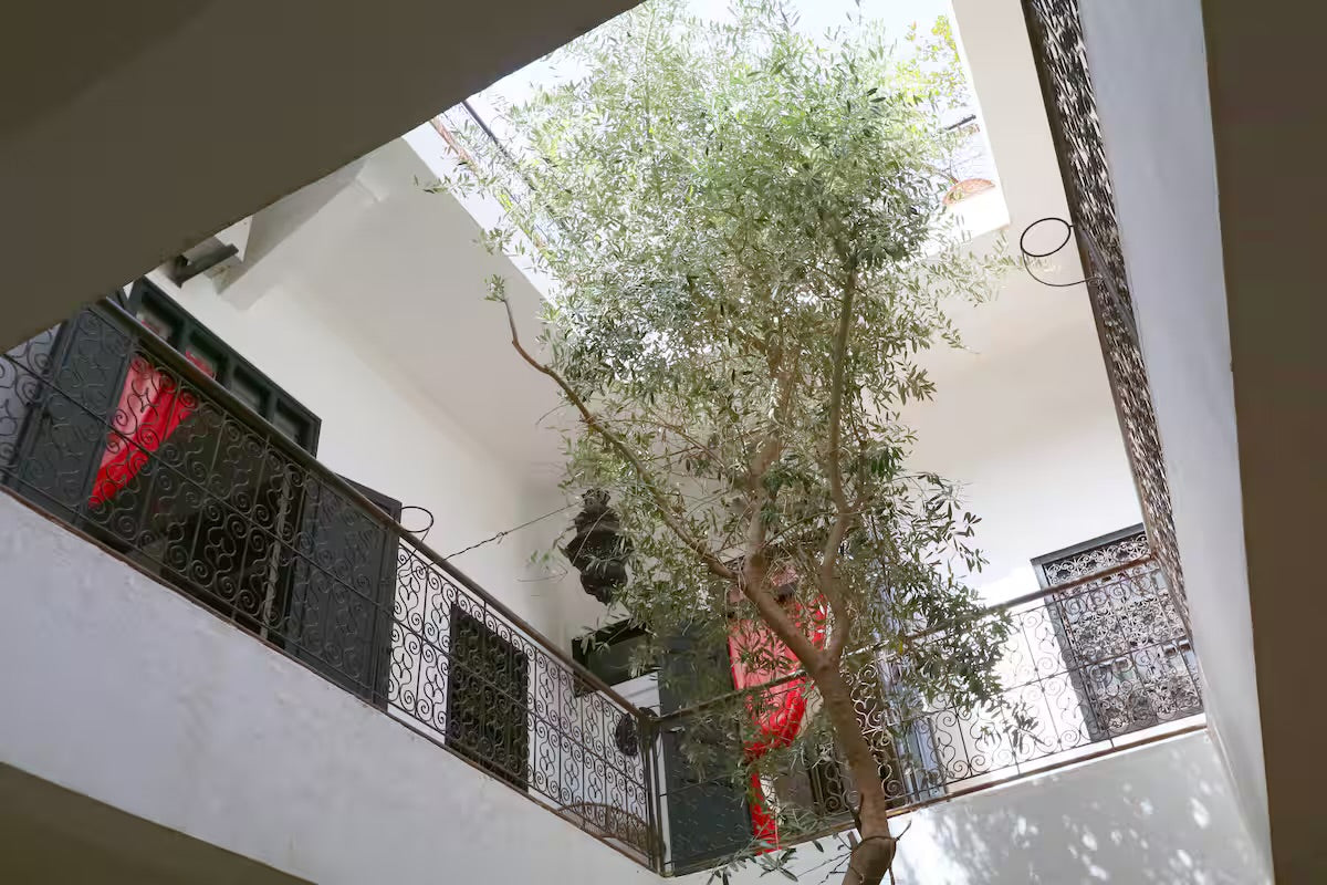 Riad 99 4